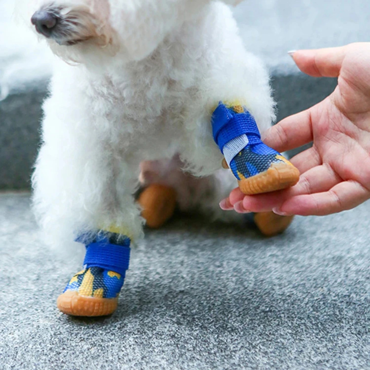 Anti-Slip Breathable Small Dog Boots