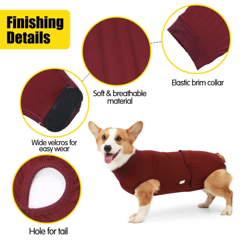 Snug as a Bug: The Comfy Recovery Suit for Your Furry Friend