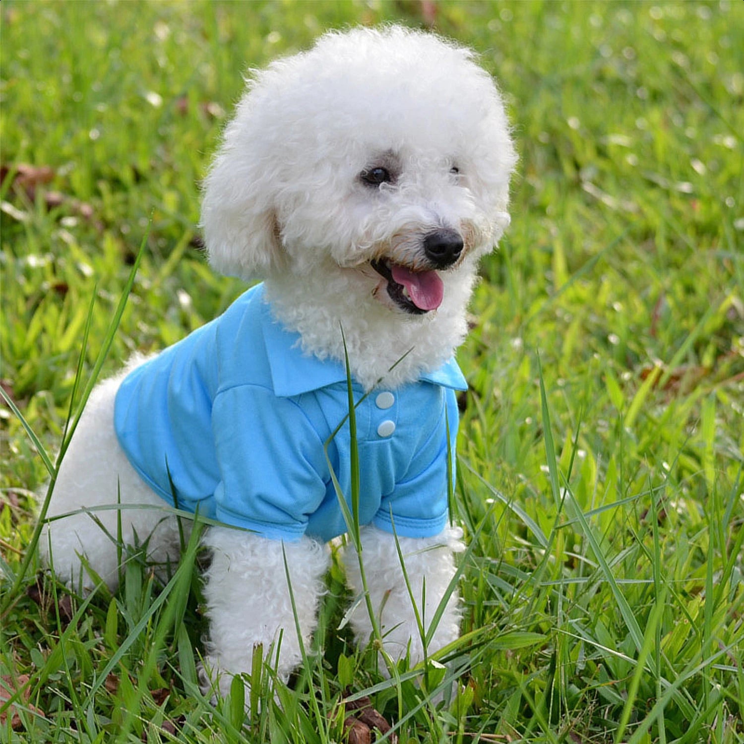 Stylish and Lightweight Pet Apparel for Dogs and Cats