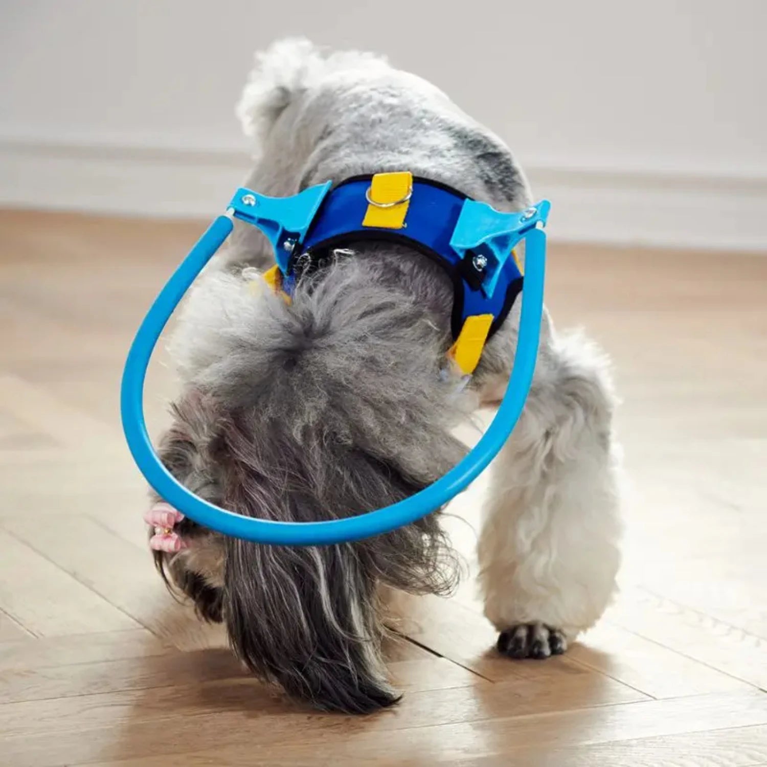 Blind Pet Anti-Collision Collar