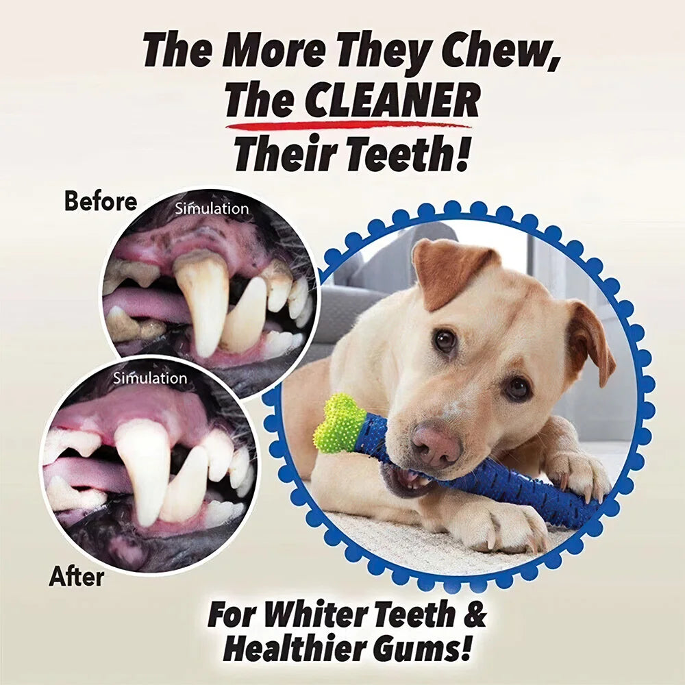 Chew-Clean Canine Companions: The Dental Delight Duo!