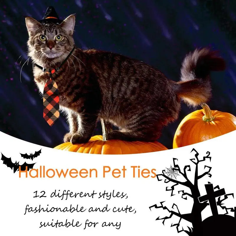 Halloween Neck Ties for Your Doggy