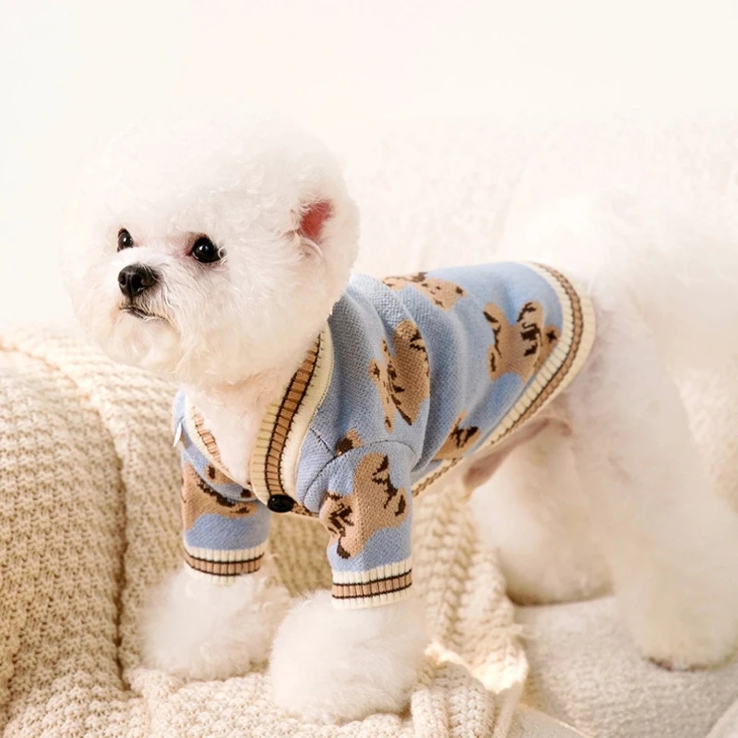 Elegant Dog Sweater For Your Pup