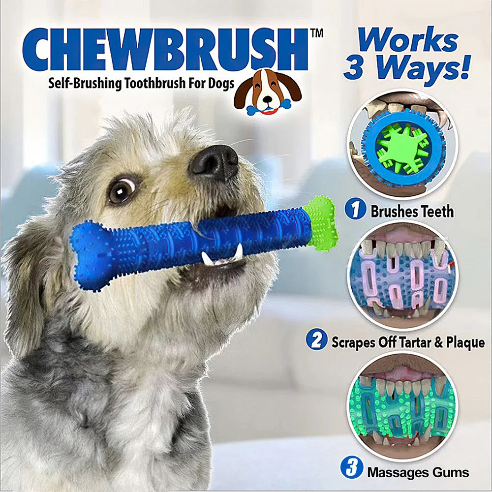 Chew-Clean Canine Companions: The Dental Delight Duo!