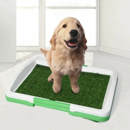 Grass-tastic Doggy Training: A Potty Paradise!