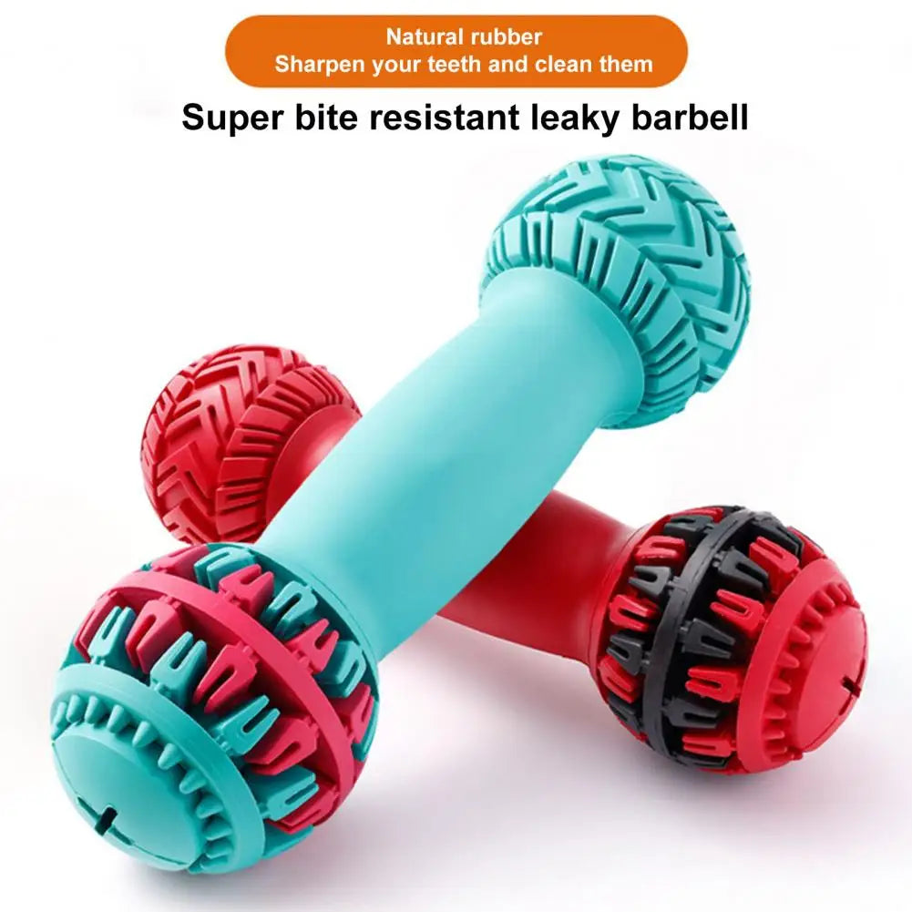 Premium Teething Toy for Your Dog