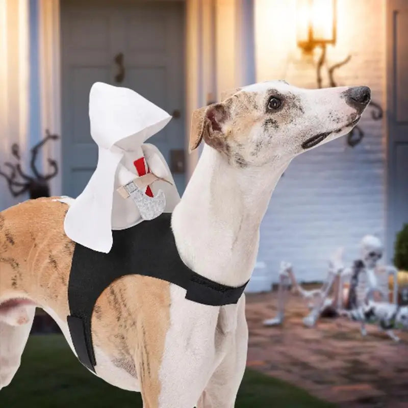 Sir Woofs-a-Lot: The Canine Crusader Costume!