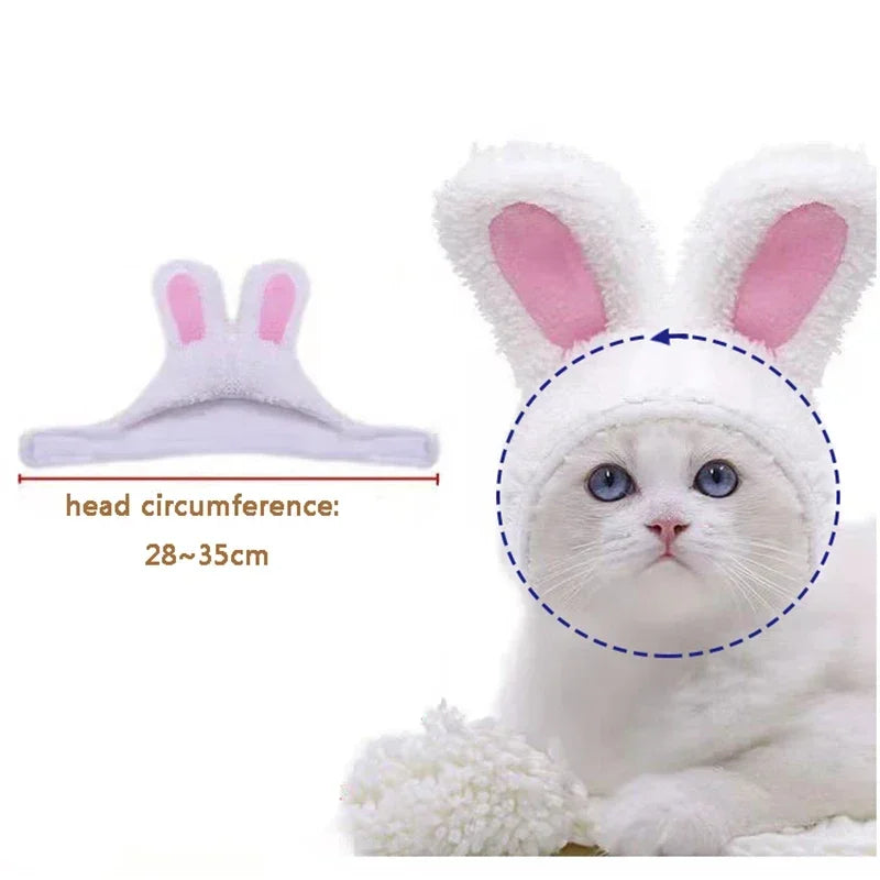 Hoppy Hauntings: The Purrfectly Warm Rabbit Ears Cap for Cats!