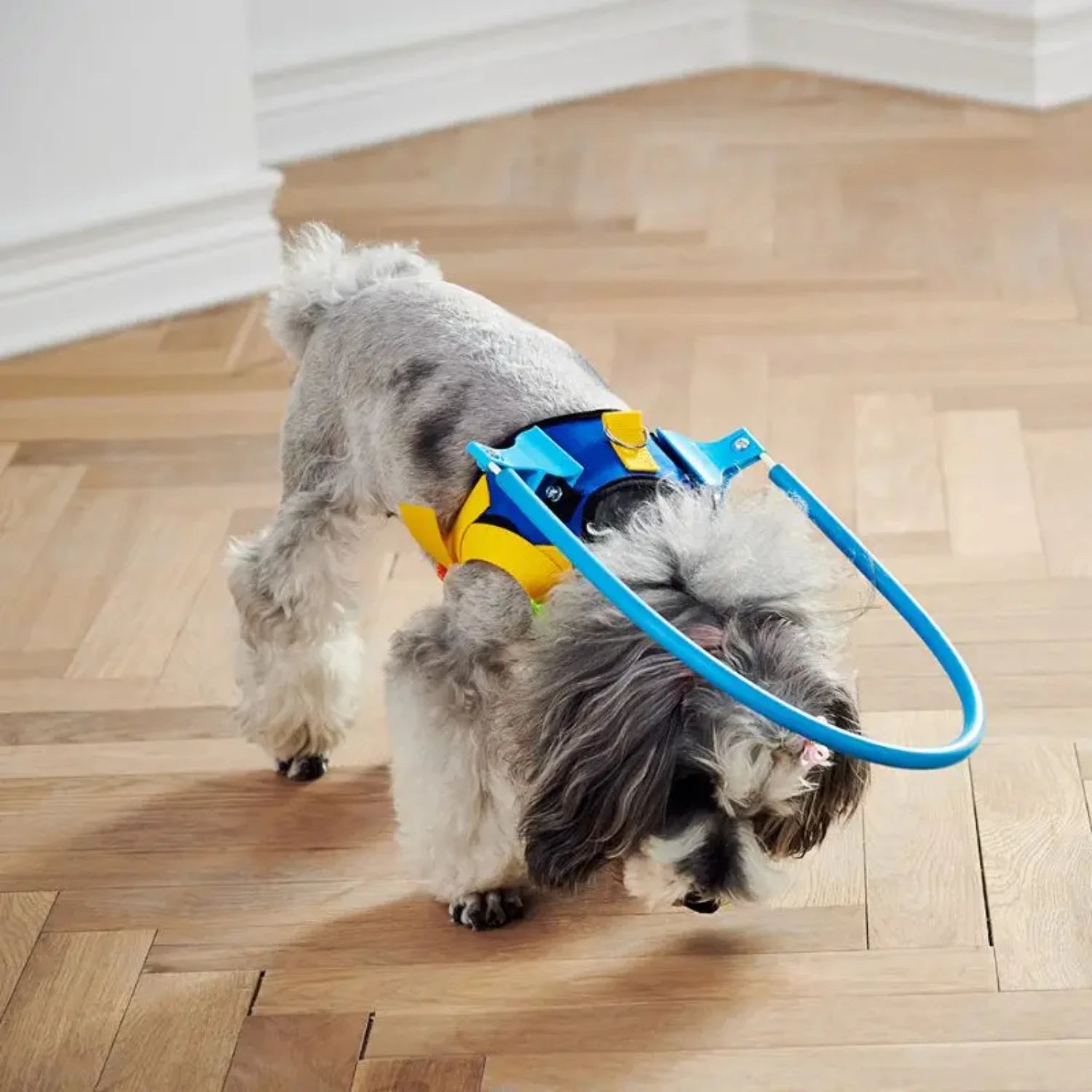 Blind Pet Anti-Collision Collar