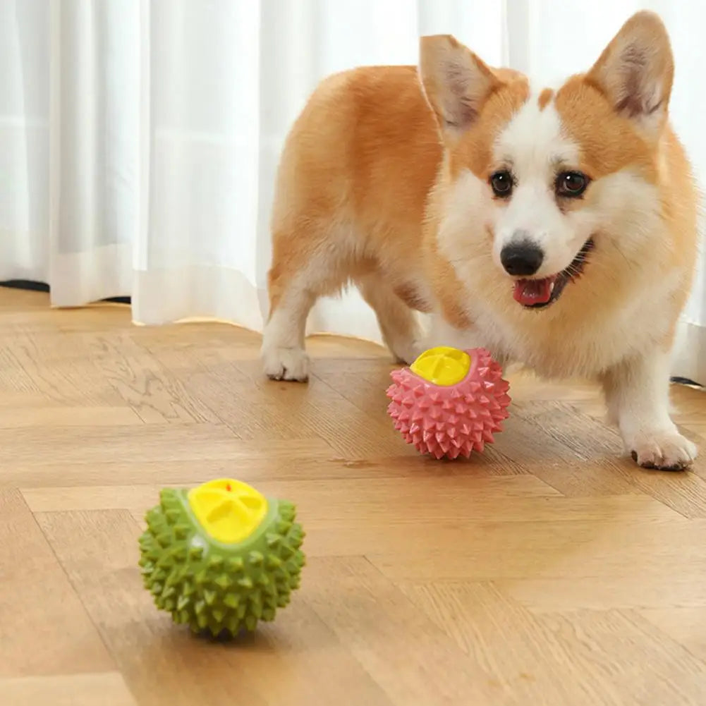 Tartar Control Dog Toy