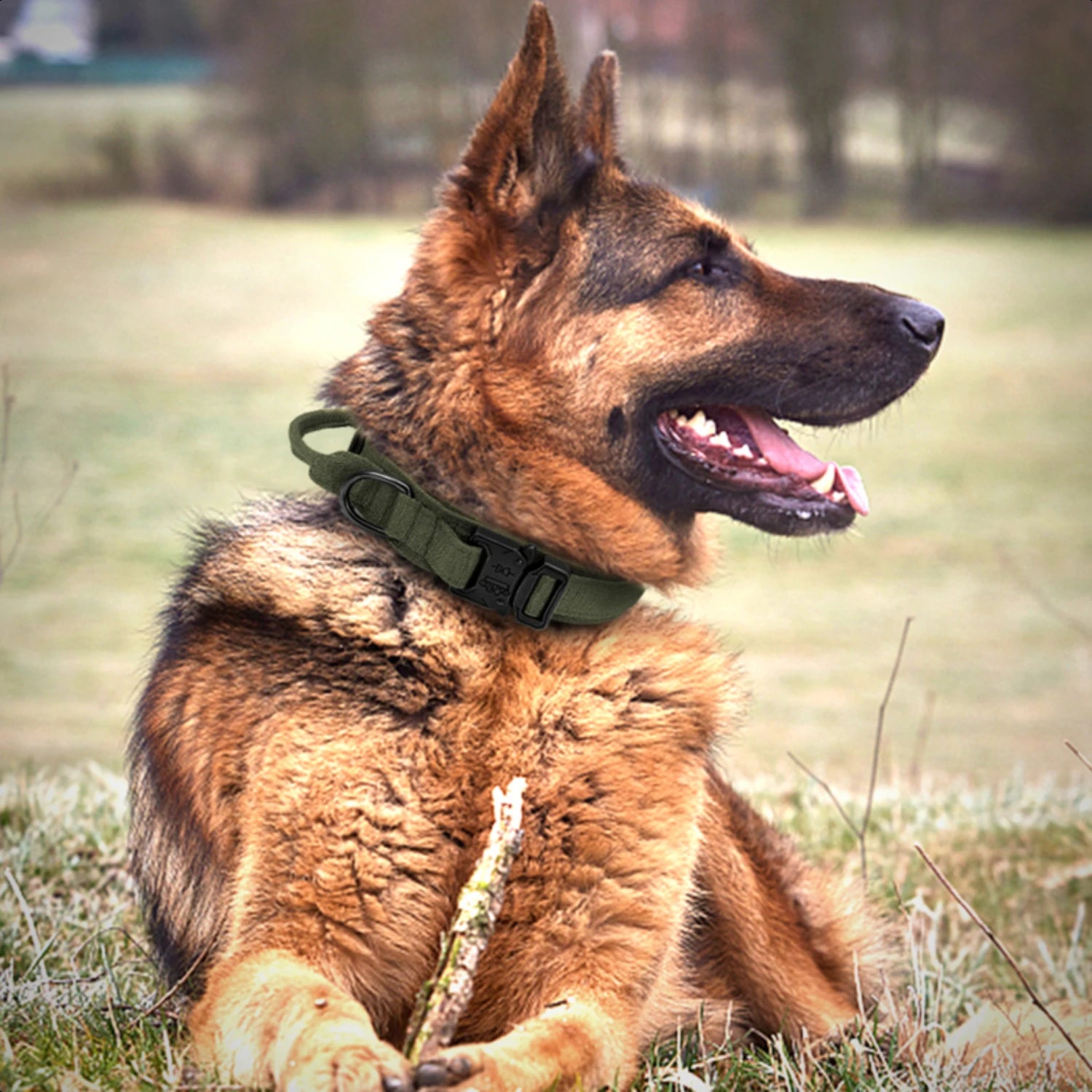 High-Quality, Durable German Military Tactical Dog Collar