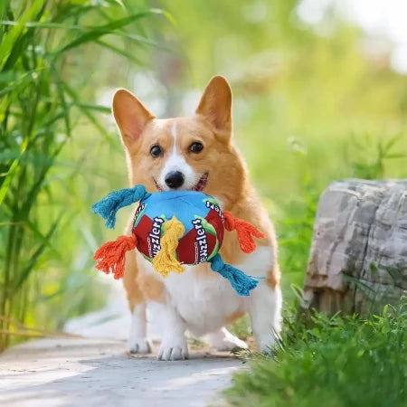 Satisfy Your Doggies Natural Chewing Instincts While Bringing Endless Fun