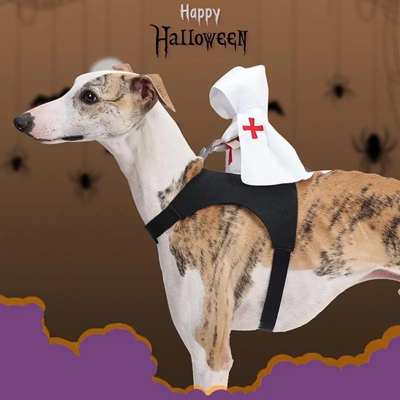 Sir Woofs-a-Lot: The Canine Crusader Costume!