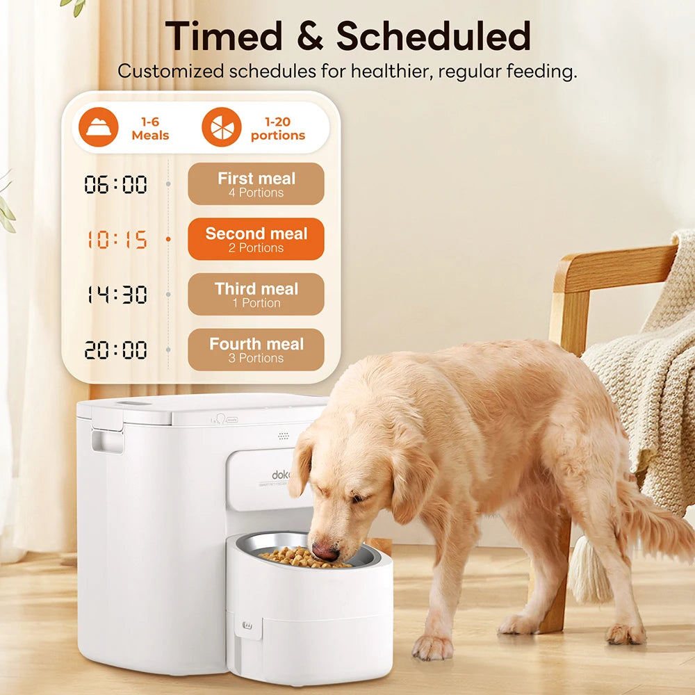 Meal Time Magic: The Automatic Pet Feeder of Your Dreams!