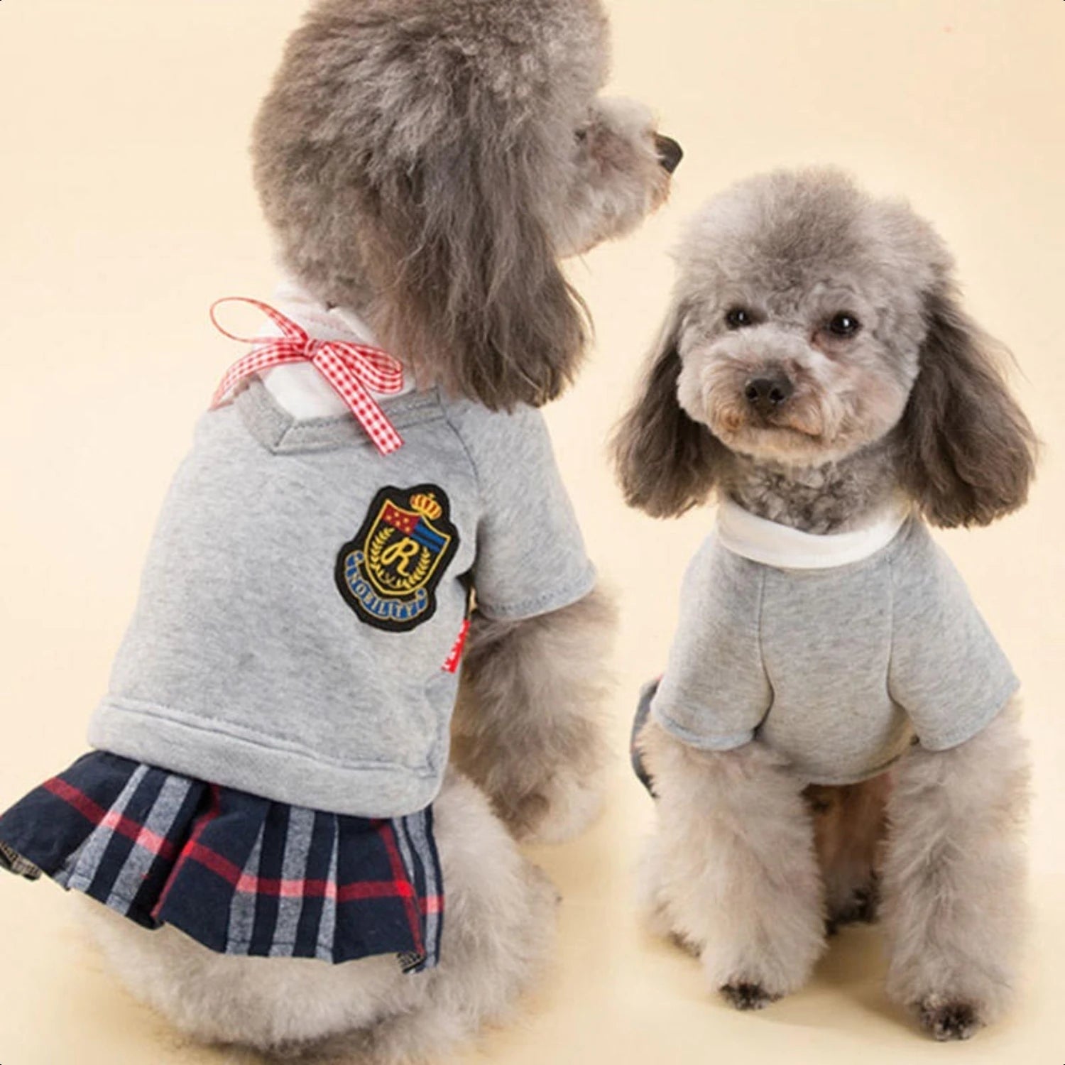 Adorable, Stylish Halloween Costume for Small and Medium Puppy