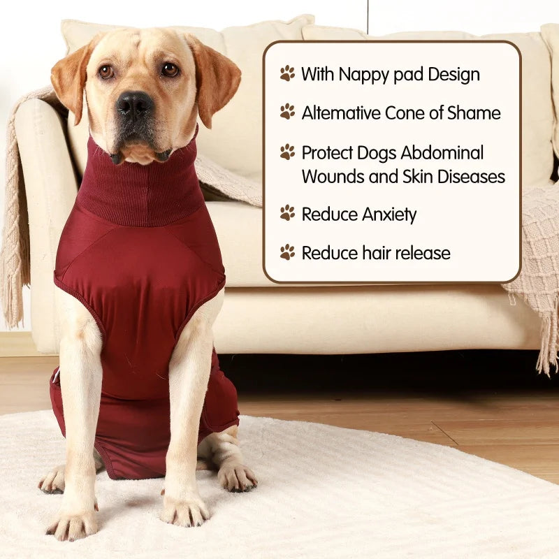 Snug as a Bug: The Comfy Recovery Suit for Your Furry Friend