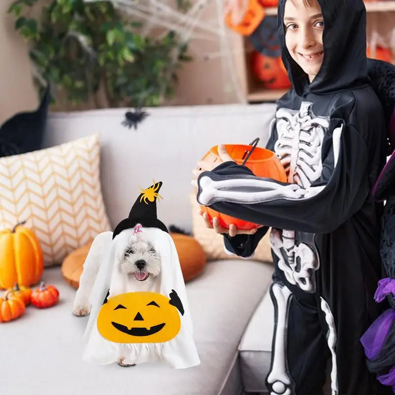 Pet Ghost Cosplay Costume with Witch Hat