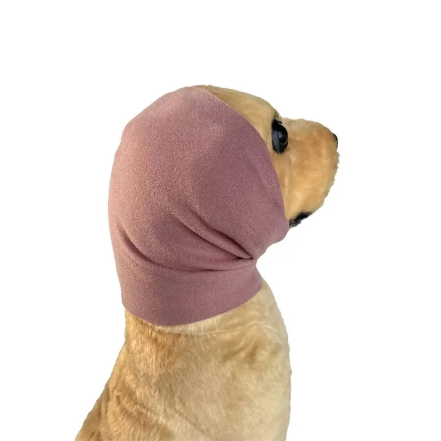 Snug as a Bug: The Perfect Winter Turban for Your Furry Friends!