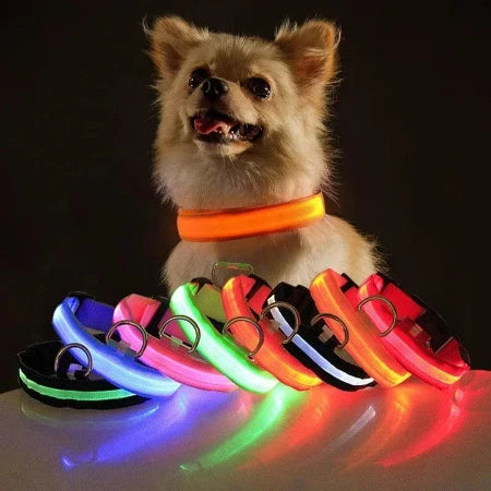 Stylish, durable, and convenient LED dog safety night light collar