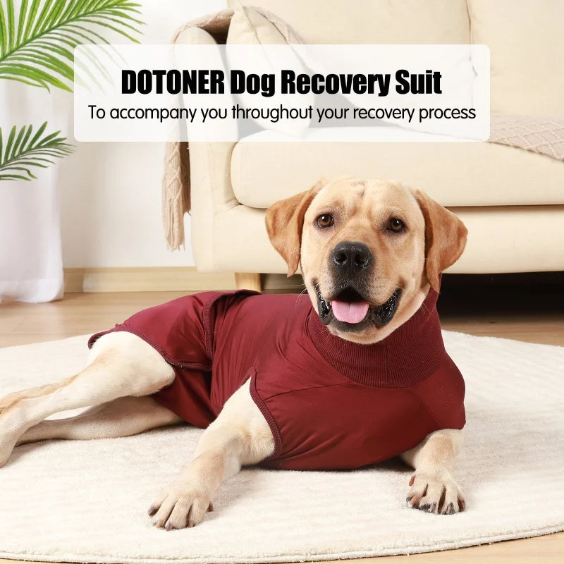 Snug as a Bug: The Comfy Recovery Suit for Your Furry Friend