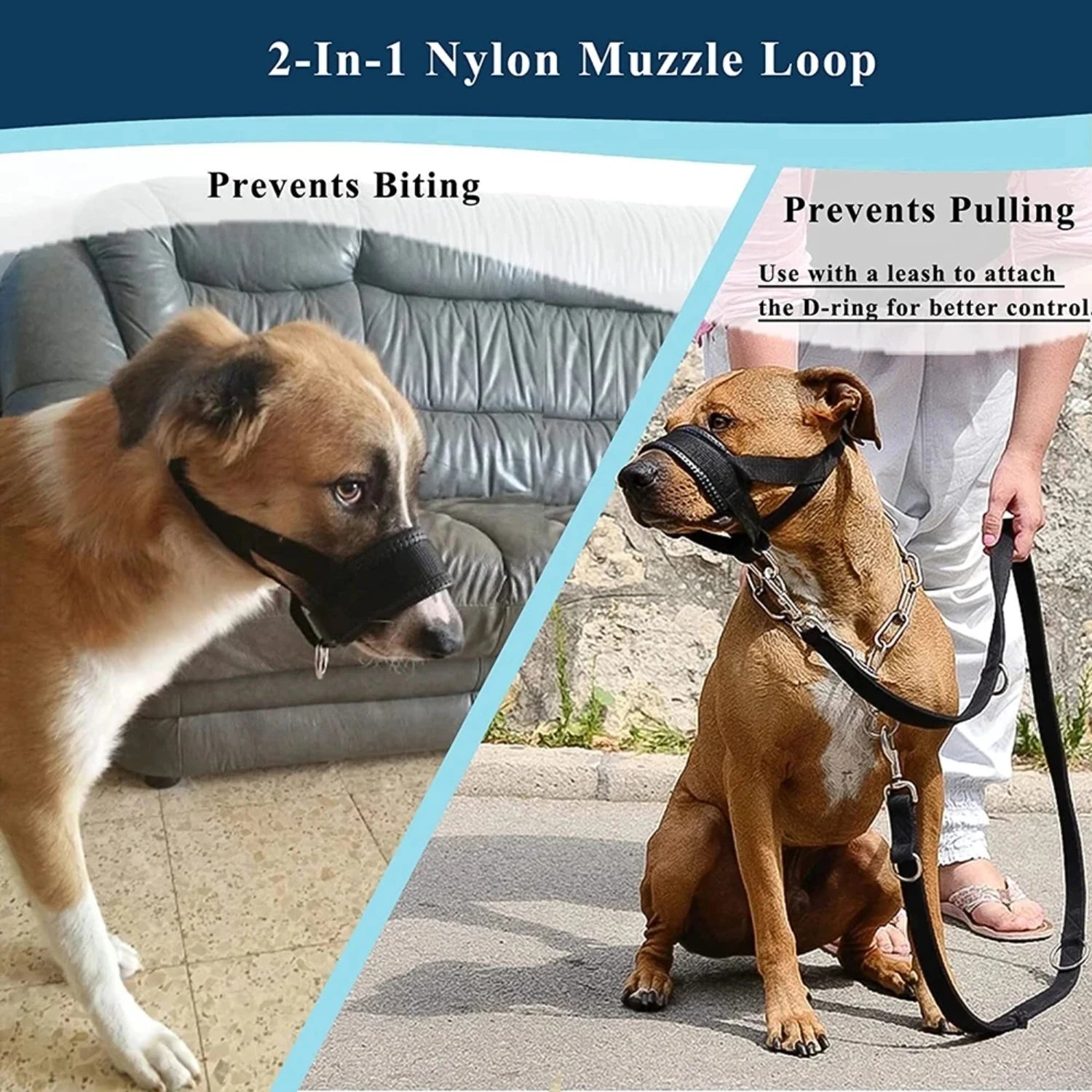 Anti Barking - SmartTraining Dog Muzzle