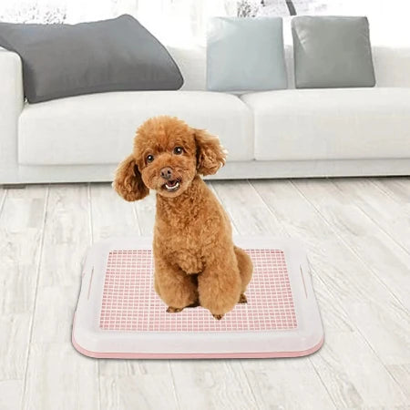 Dog Potty Toilet Training Tray for Small Dogs