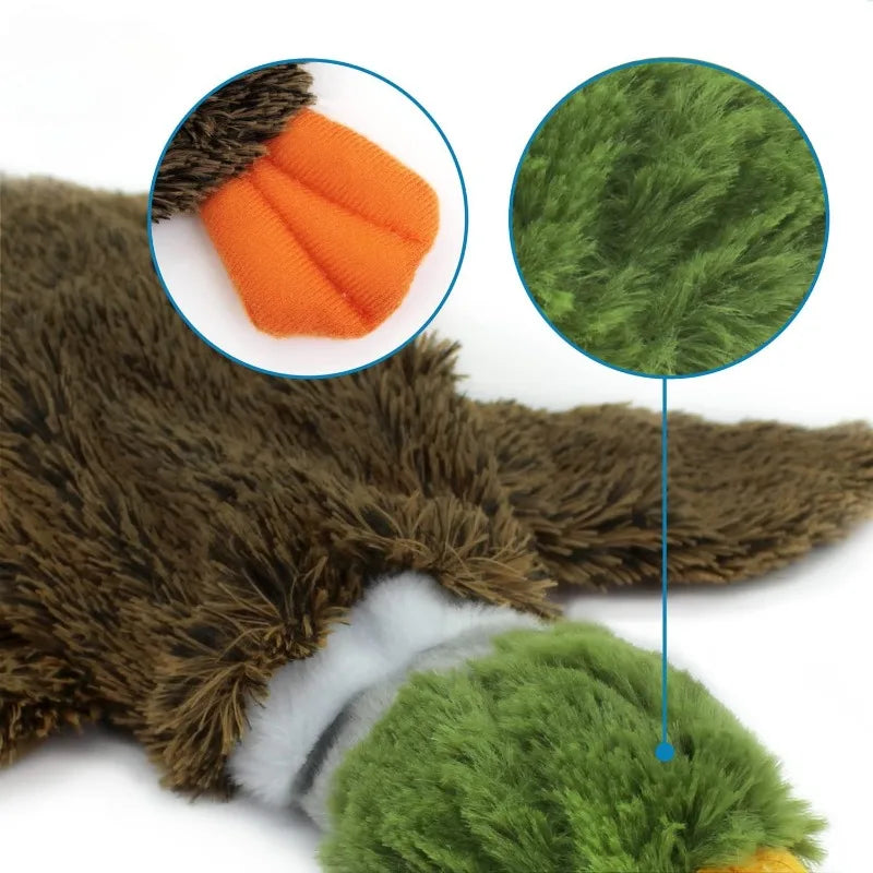 Wild Duck 2-in-1 Stuffless Squeaky Dog Toy