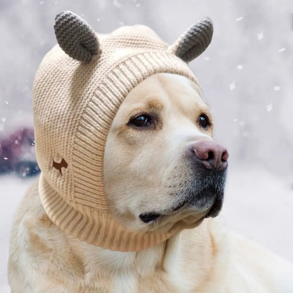 Knitted Hat for Medium and Large Dogs