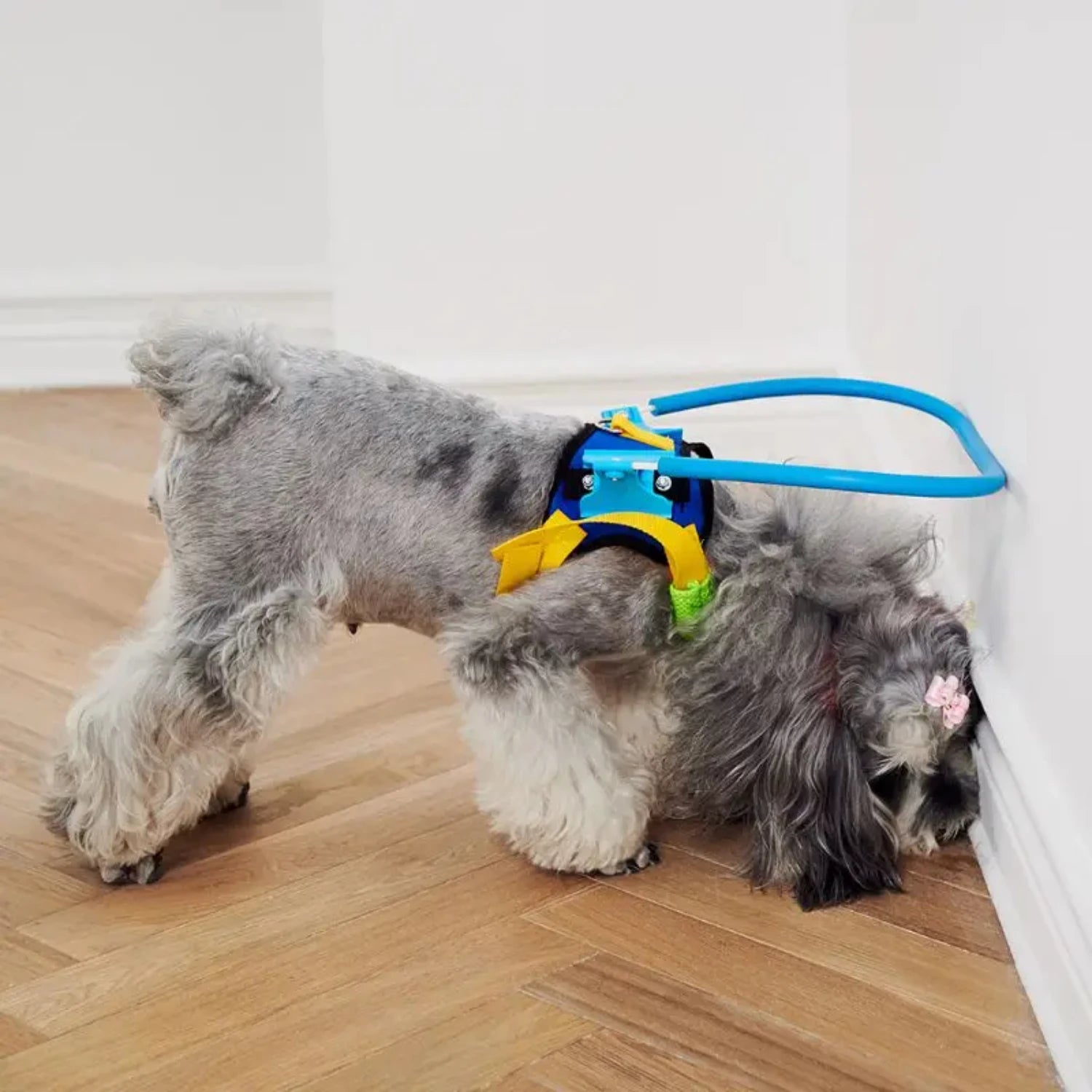 Blind Pet Anti-Collision Collar