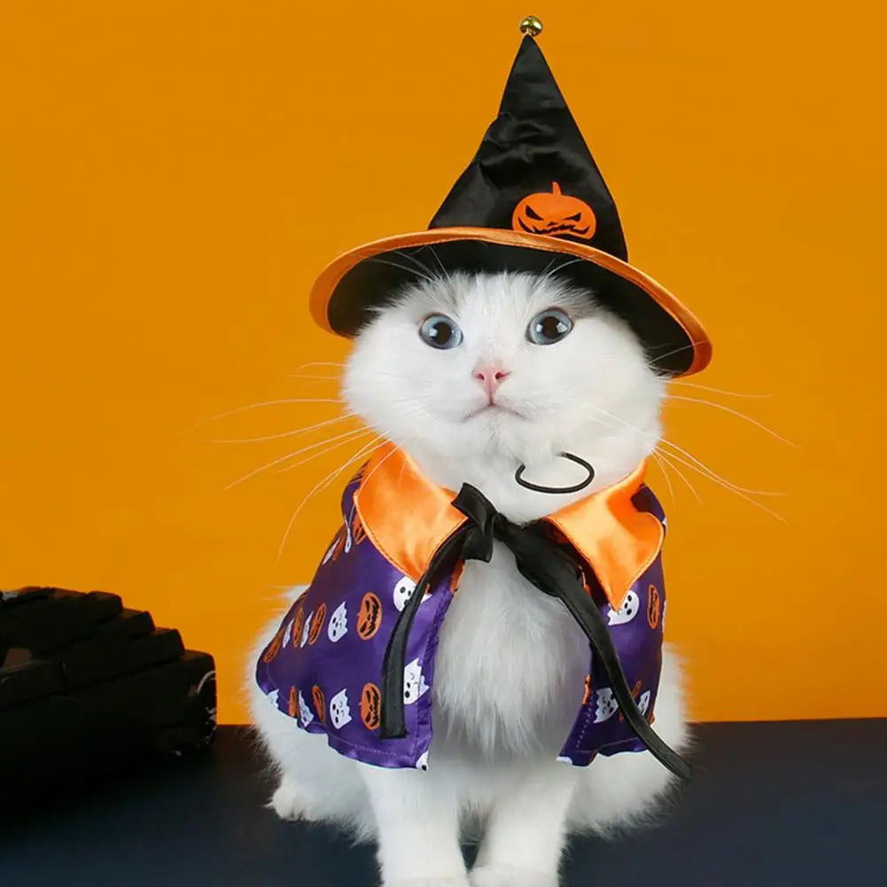 Halloween Cape and Hat Costume for Your Pets