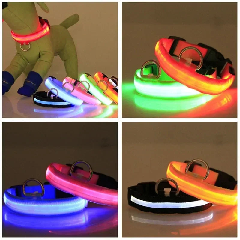 Stylish, durable, and convenient LED dog safety night light collar