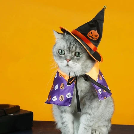 Halloween Cape and Hat Costume for Your Pets