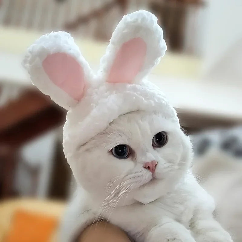 Hoppy Hauntings: The Purrfectly Warm Rabbit Ears Cap for Cats!