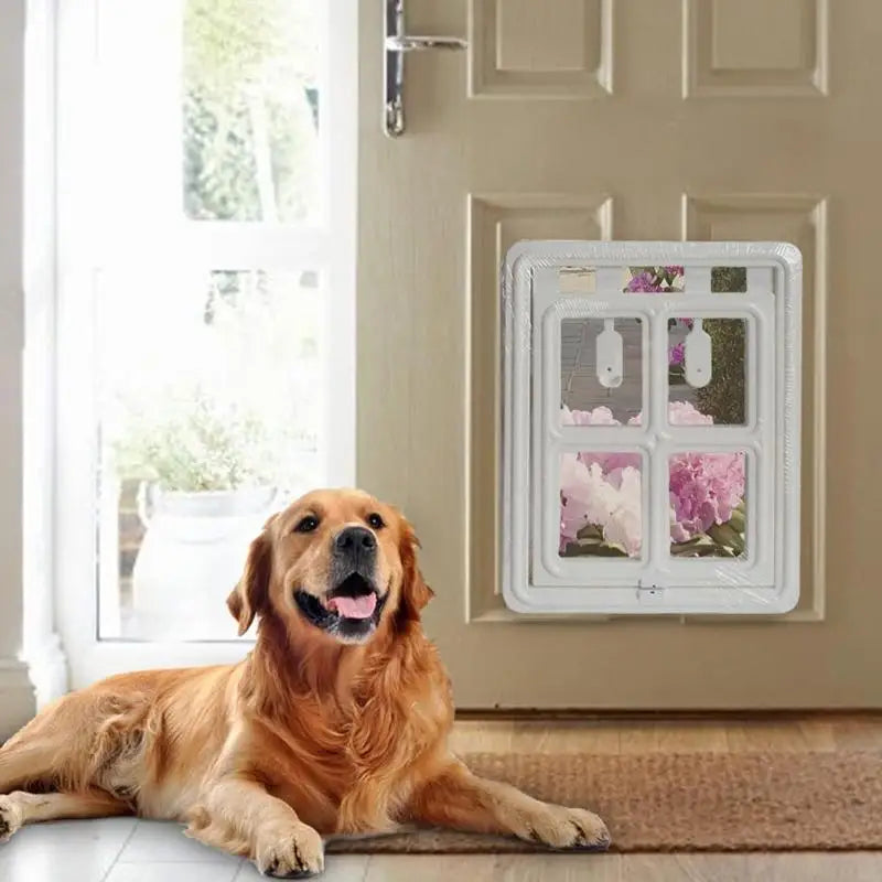 Pet Door With Magnetic Closure For Dogs and Cats