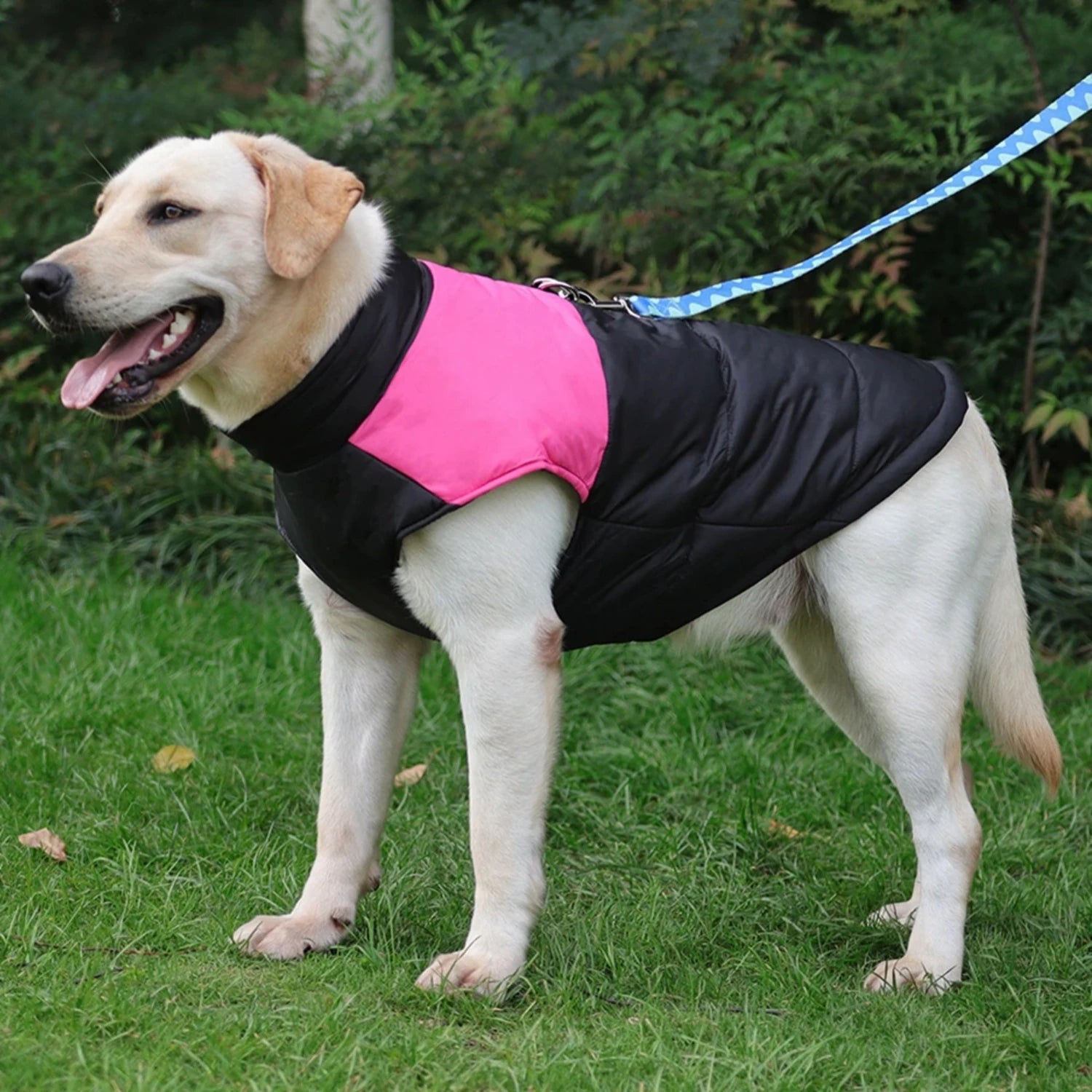 Cozy Winter Waterproof Dog Coat - All Sizes