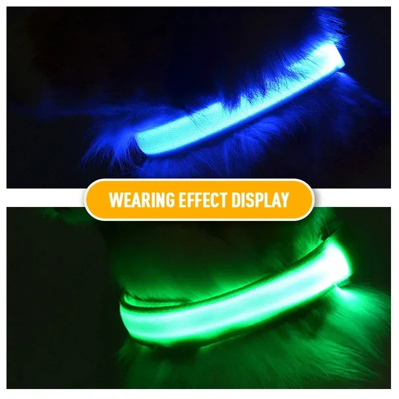 Stylish, durable, and convenient LED dog safety night light collar