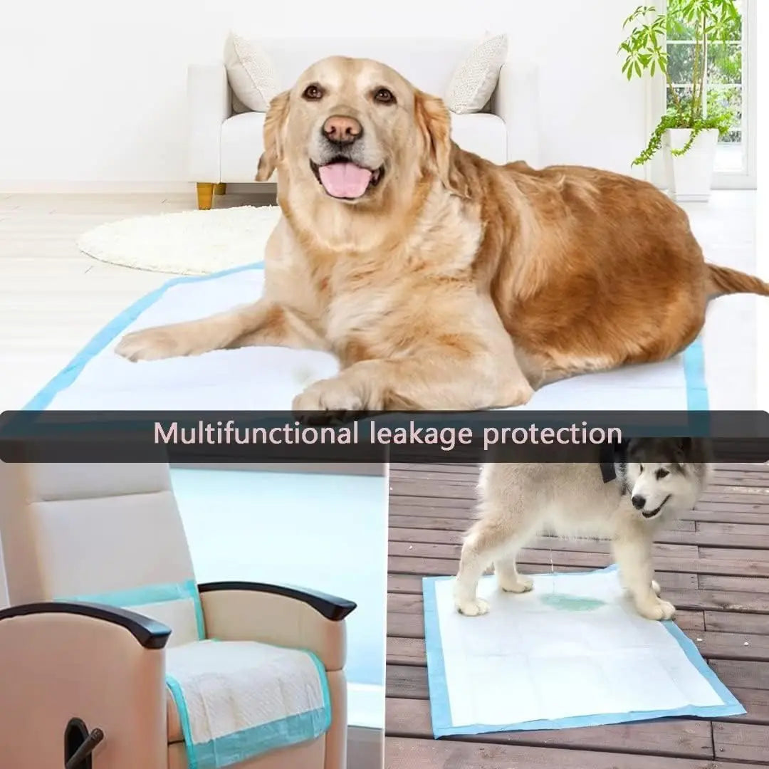 Pawsitively Perfect Pee Pads: A Whimsical Solution for Your Pup’s Potty Needs!