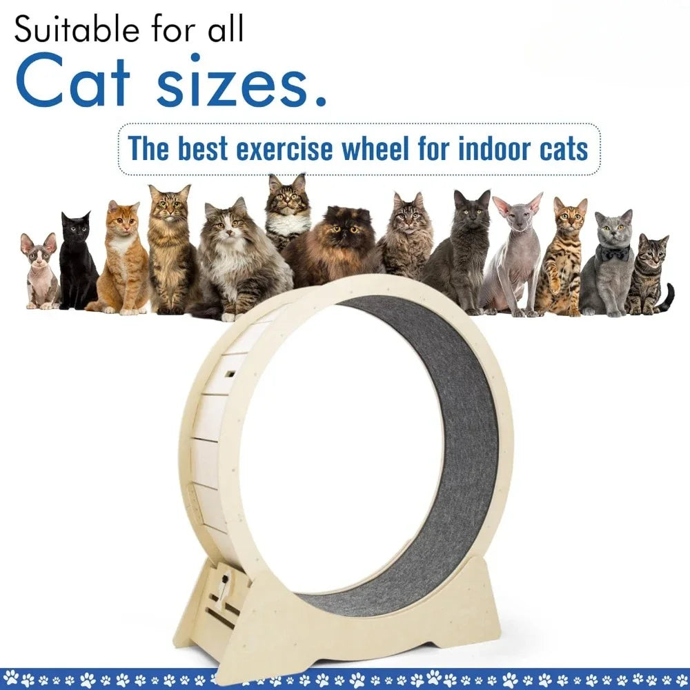 Cat Exercise Wheel - Low-Noise for Indoor Fitness & Health