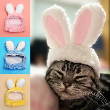 Hoppy Hauntings: The Purrfectly Warm Rabbit Ears Cap for Cats!