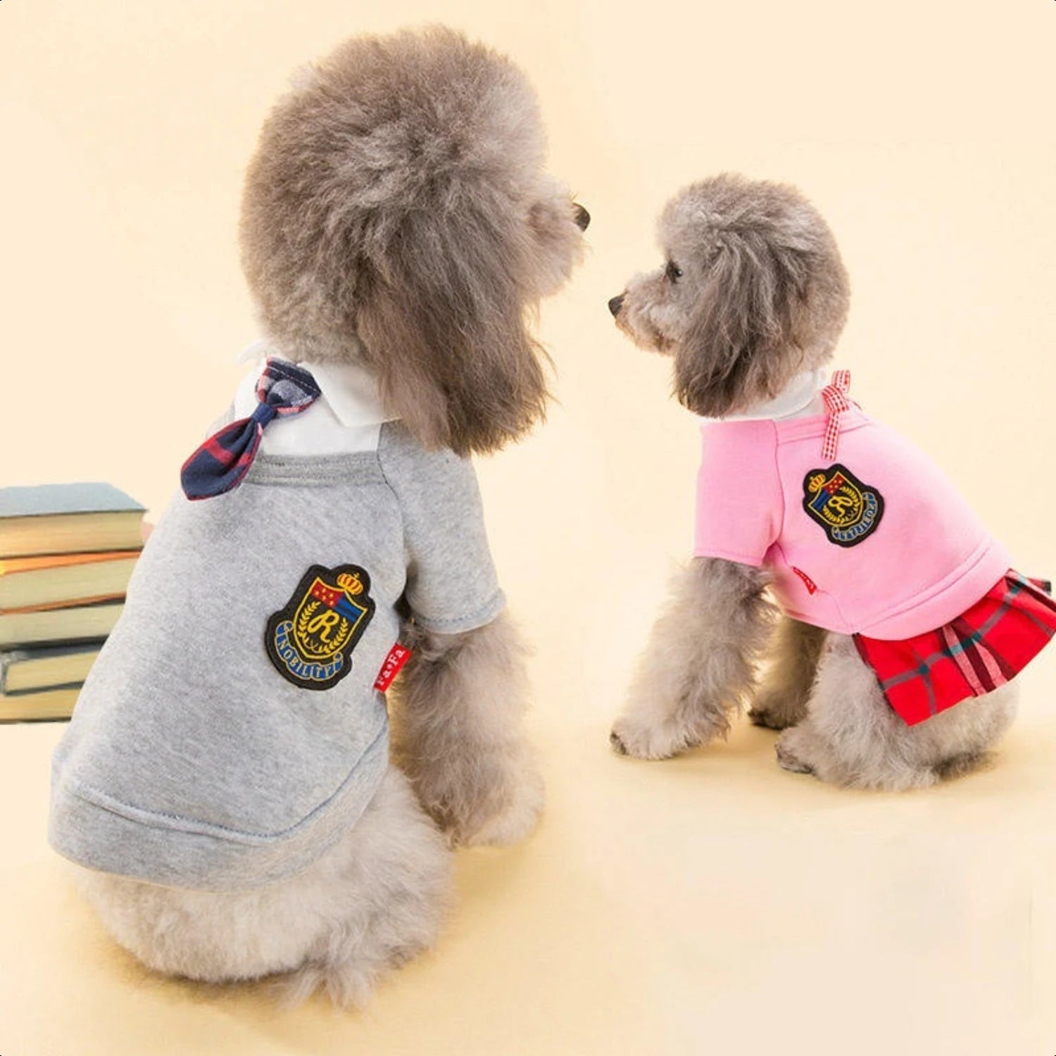 Adorable, Stylish Halloween Costume for Small and Medium Puppy