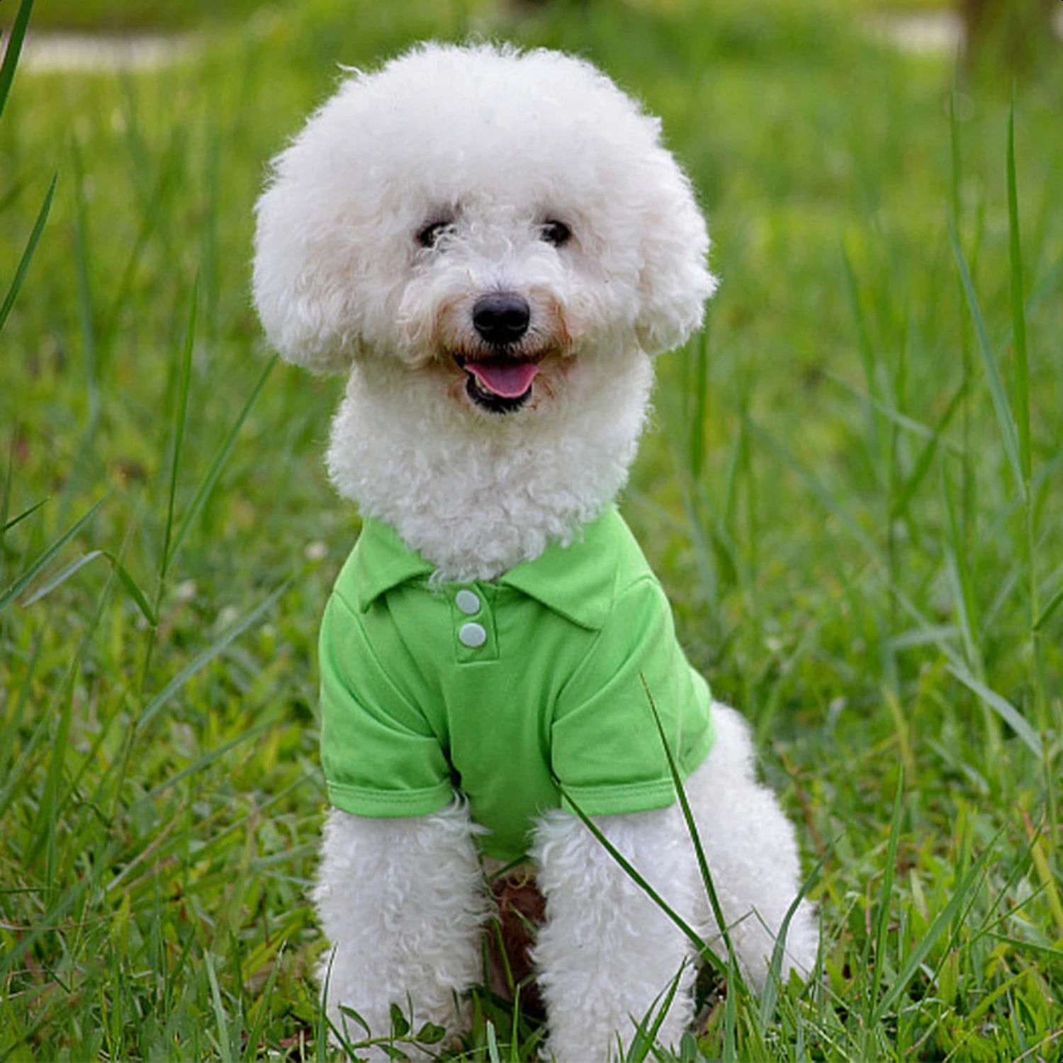 Stylish and Lightweight Pet Apparel for Dogs and Cats