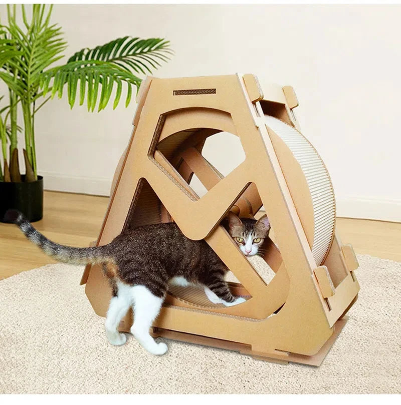 KittyKinetic: The Pawsitive Spin on Playtime!