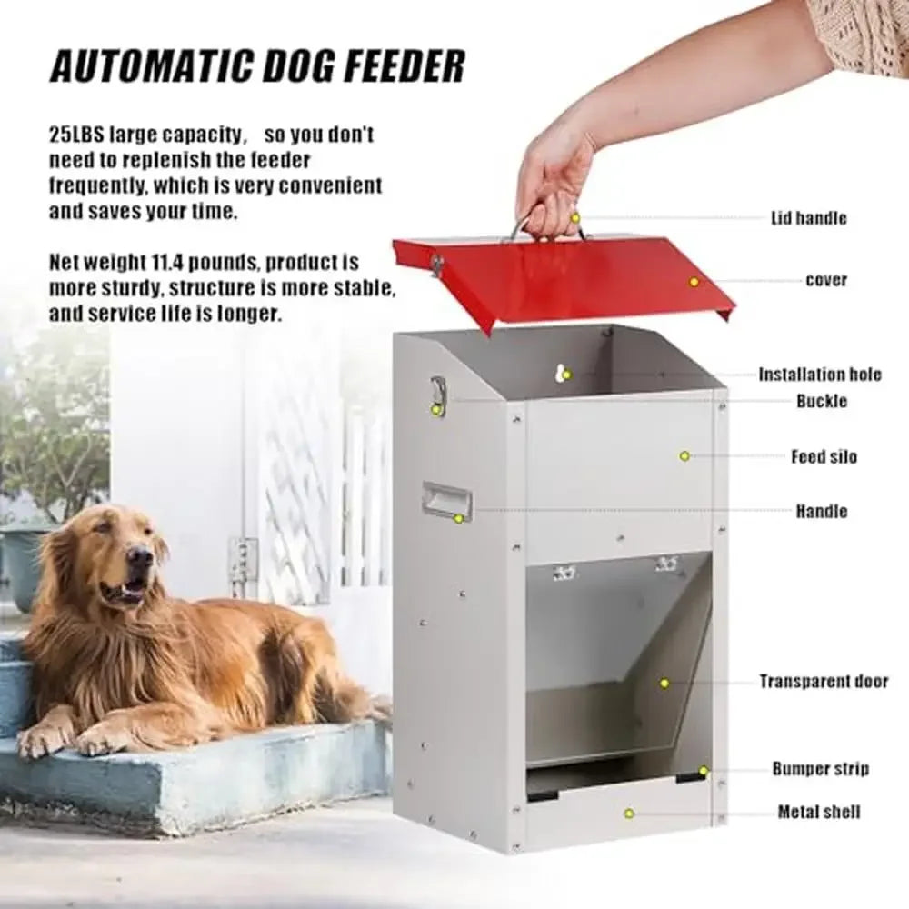 25lb Galvanized Steel Automatic Food Dispenser