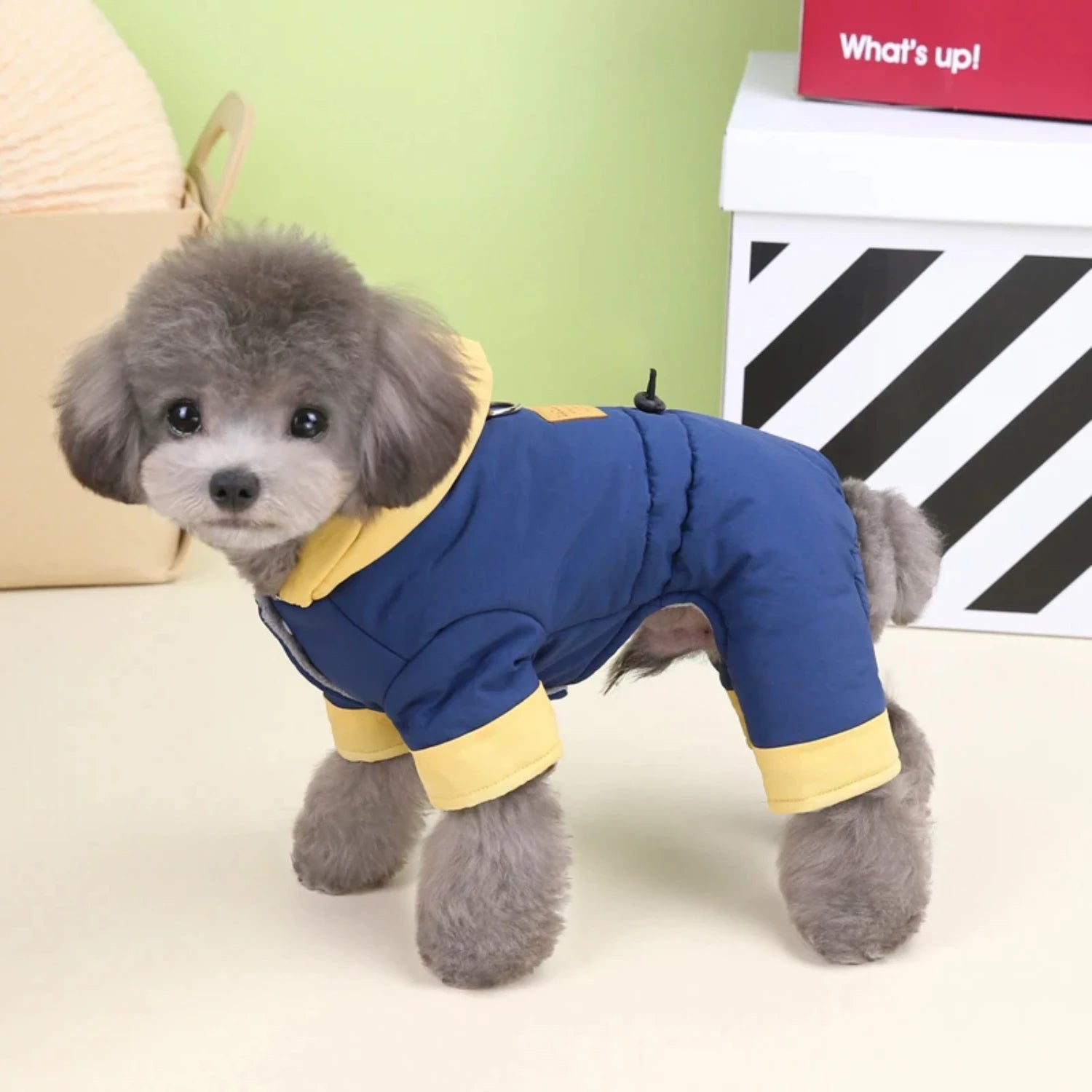 Comfortable Overall and Jacket Jumpsuit for Small Dogs