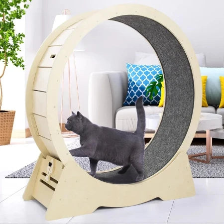 Cat Exercise Wheel - Low-Noise for Indoor Fitness & Health