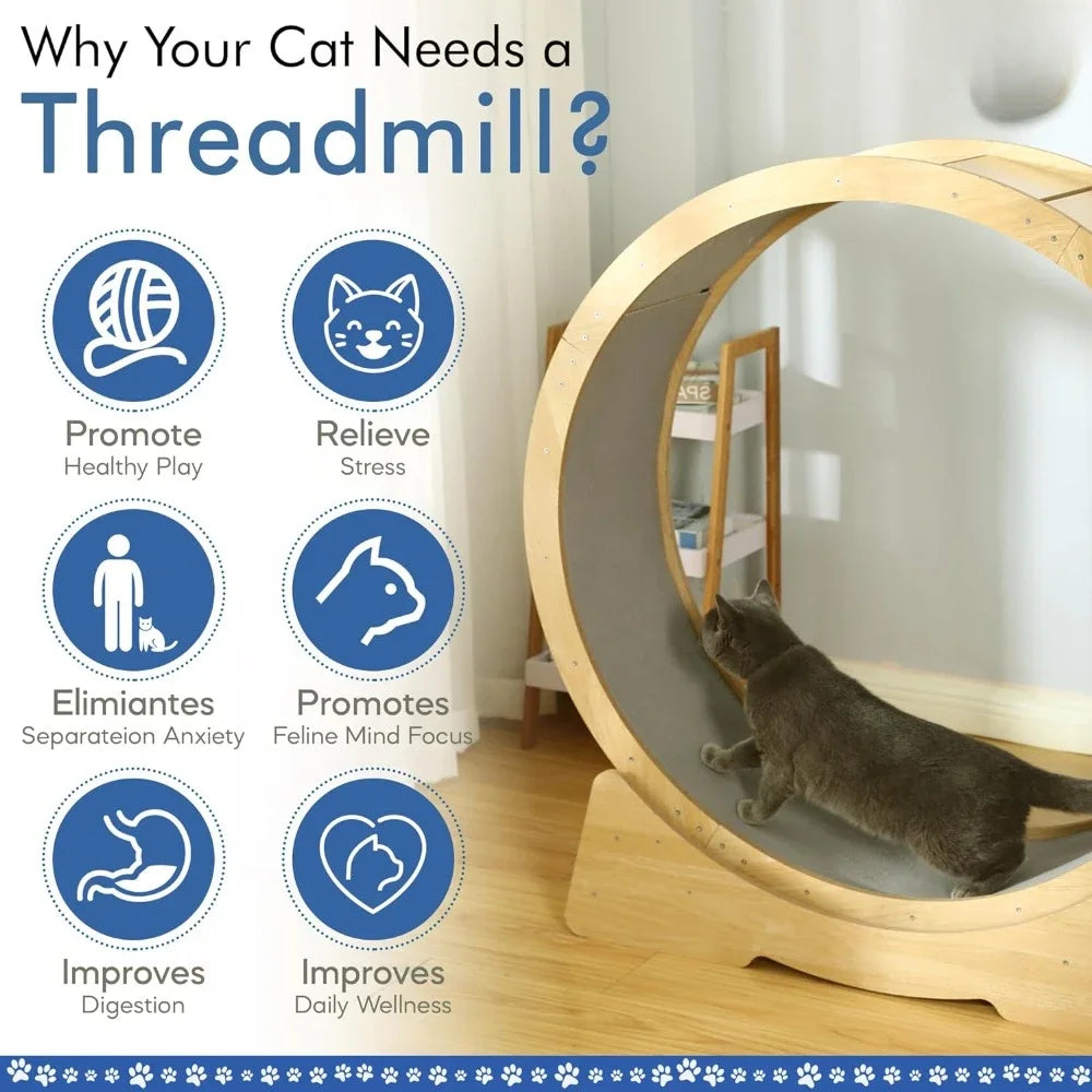 Cat Exercise Wheel - Low-Noise for Indoor Fitness & Health