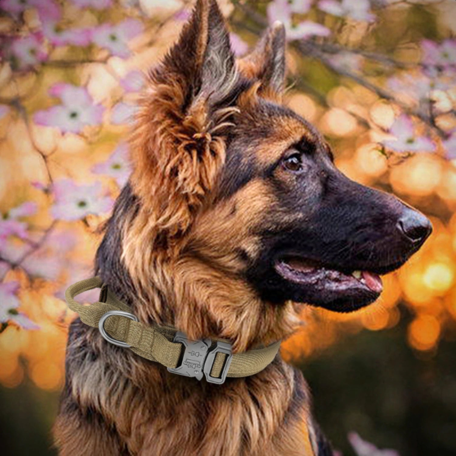 High-Quality, Durable German Military Tactical Dog Collar