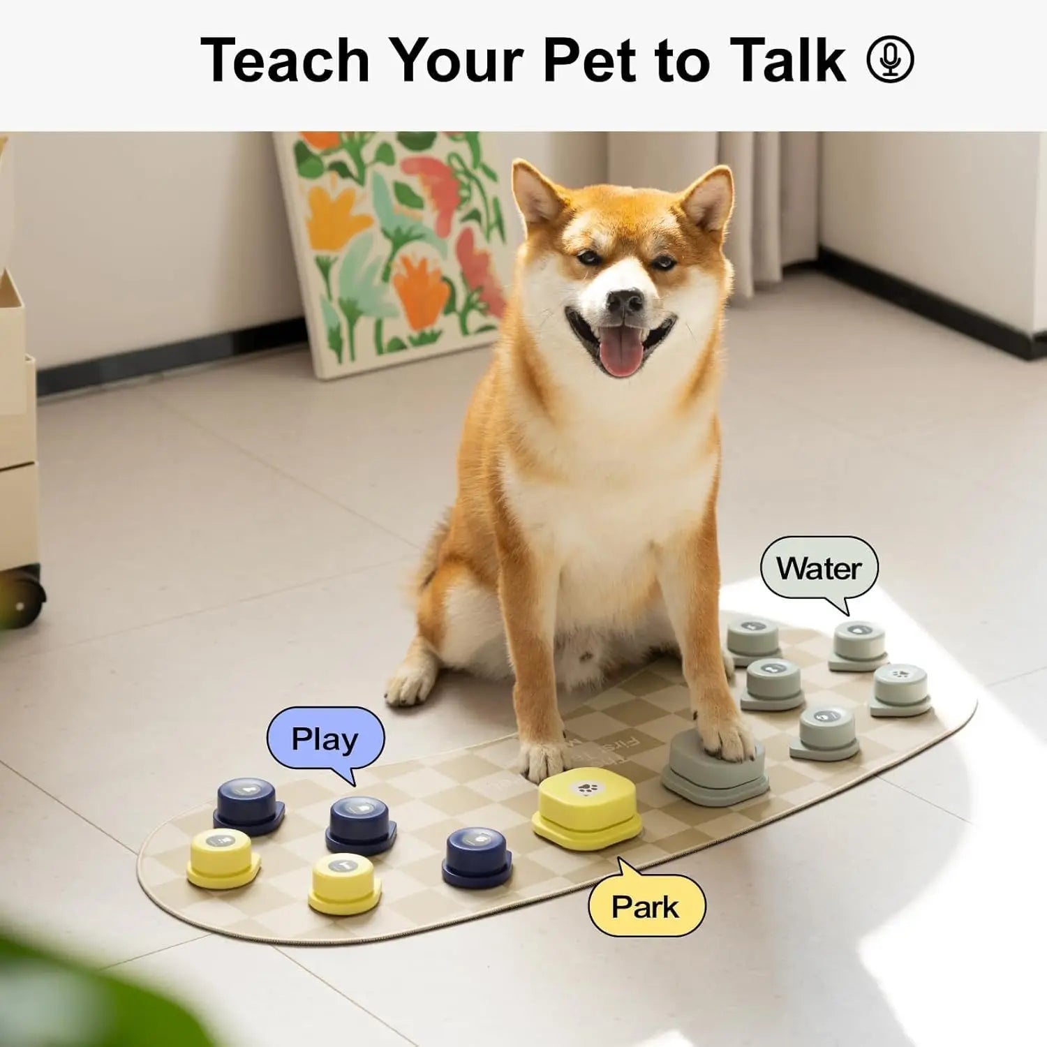 Talking Button Set To Train Dogs and Cats