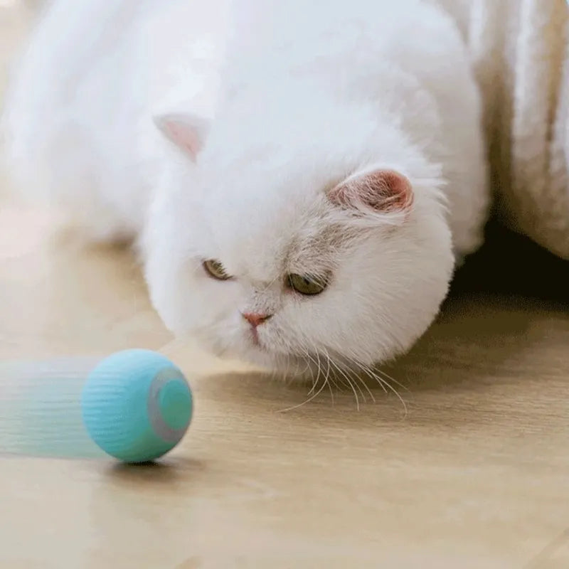 Mobile Game Ball Toy for Cats and Dogs