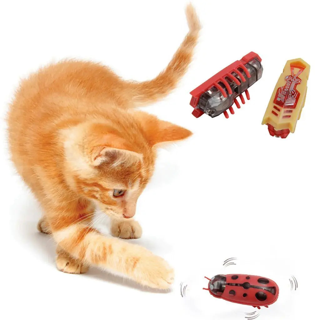 Colorful Interactive Ladybug Automatic Crawl Toy for Cats and Dogs